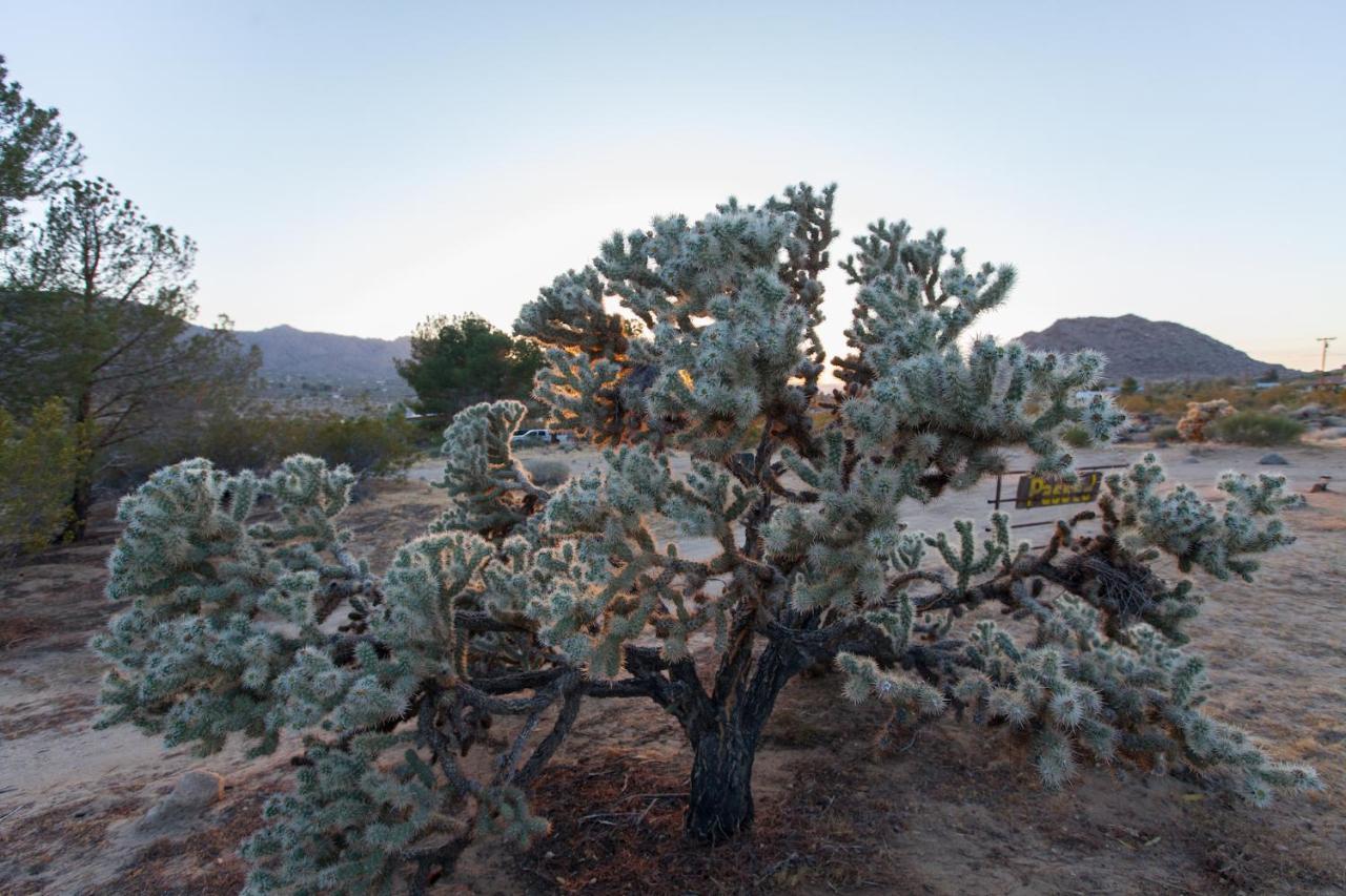 @ Marbella Lane - 10 Acres Oasis Desert Retreat! Joshua Tree Exterior foto
